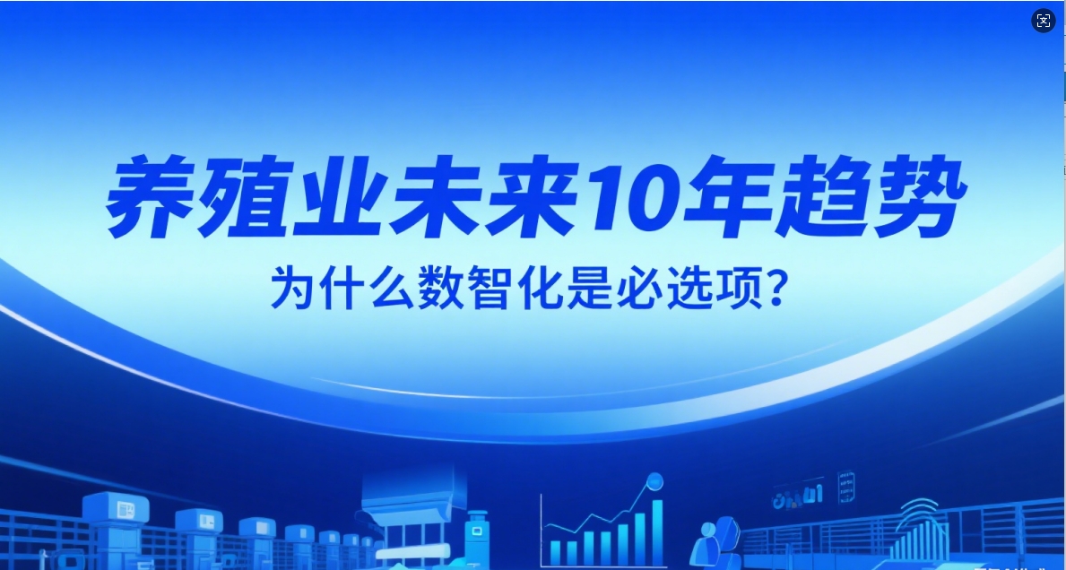 20250708110731633163